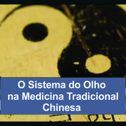 Curso O Olho na MTC