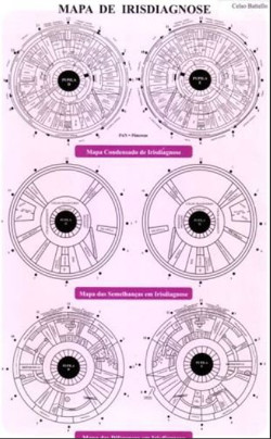Mapa Iridologia 3x1