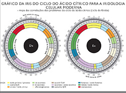 Mapa Ciclo do Ácido Cítrico